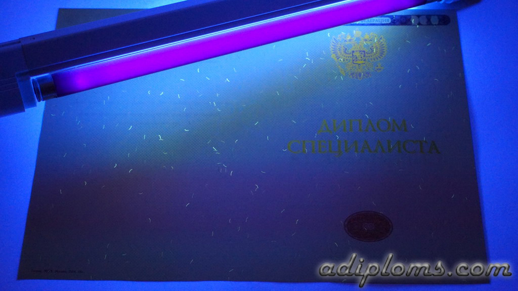 Диплом специалиста 2014-2026 Фото